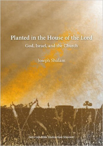 Planted In The House Of The Lord: God, Israel, and the Church